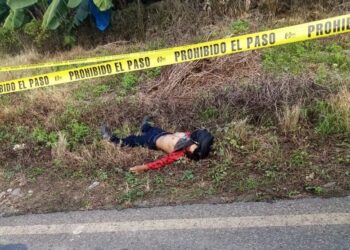 Murió atropellado