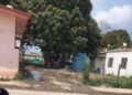 Paraíso entre excretas