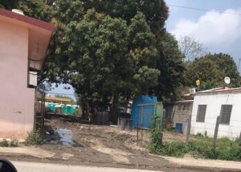 Paraíso entre excretas