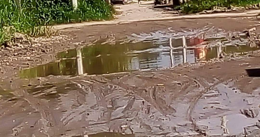 En el lodo y el olvido