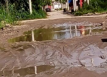 En el lodo y el olvido