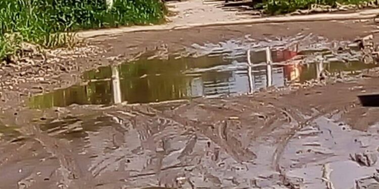 En el lodo y el olvido