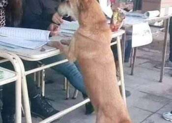 Se consumó la farsa…