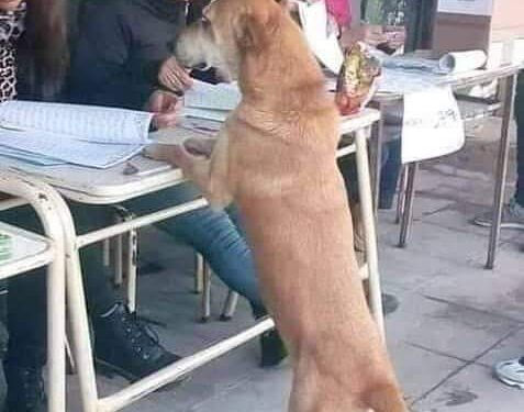 Se consumó la farsa…