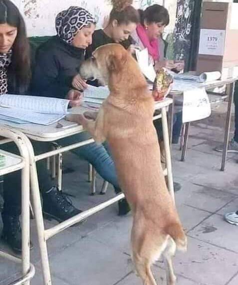 Se consumó la farsa…