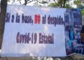 Insisten en basificación