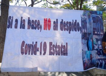 Insisten en basificación