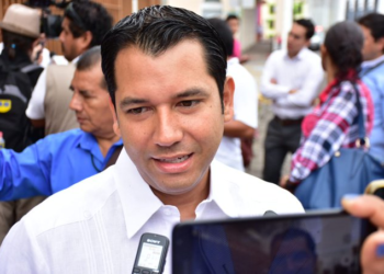Morena ganaría en 2024, admitió el Partido Verde