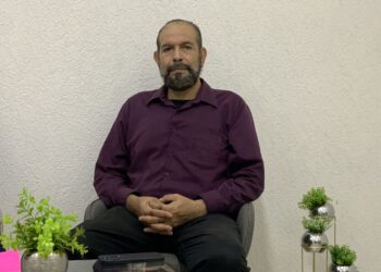 Capacitación y profesionalización