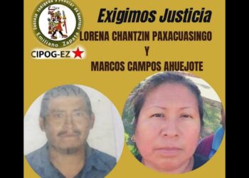 Encuentran cuerpos de activistas