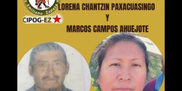 Encuentran cuerpos de activistas