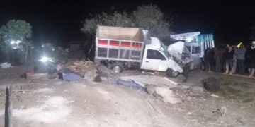 Volcó camión “pollero”