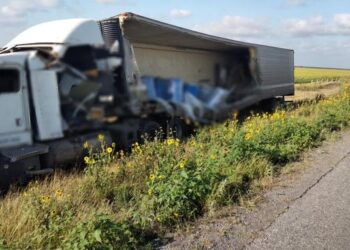 Transportaba gatos y perros muertos