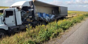 Transportaba gatos y perros muertos