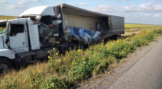 Transportaba gatos y perros muertos