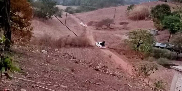 Atacan “Los Ardillos”