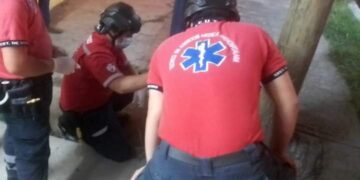 Hasta rebotó del suelo