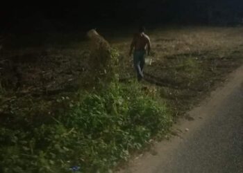 Acosador psiquiátrico
