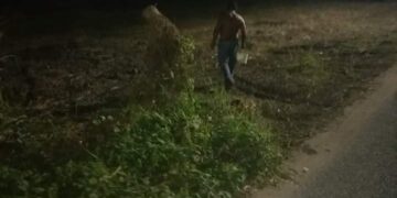 Acosador psiquiátrico