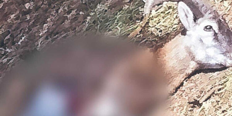 Terror por matanza de animales en Ecoparc