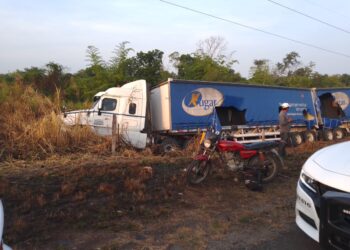Asustados por un puerco espín