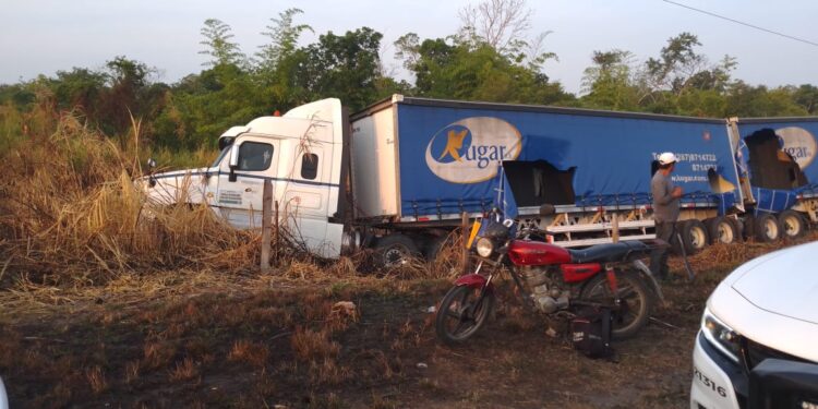 Asustados por un puerco espín