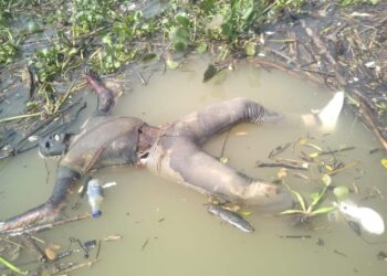Flotaba frente a Boca de Chilapa