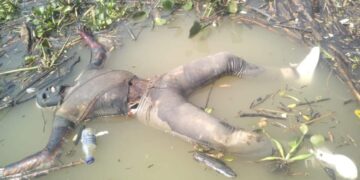 Flotaba frente a Boca de Chilapa