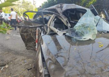 Un árbol los paró en seco