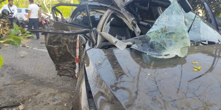 Un árbol los paró en seco