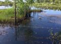 Tabasco, foco de contaminación