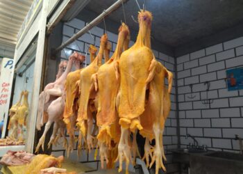 Pollo por las nubes
