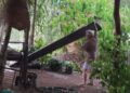 Tromba sorprendente