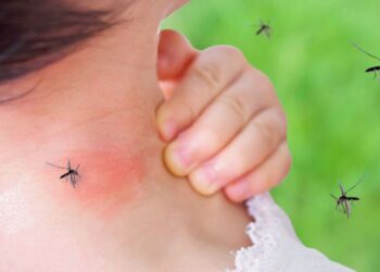 Incontenible el dengue