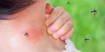 Incontenible el dengue