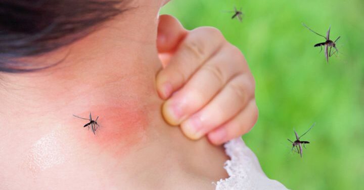 Incontenible el dengue