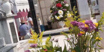 Aún en el panteón no olvidan a sus madres