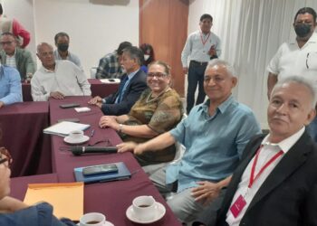 Construirá IP casas para tabasqueños