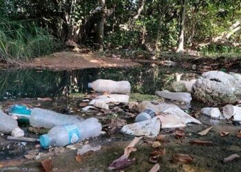 Ahora van a pescar basura