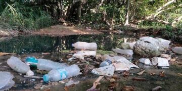 Ahora van a pescar basura