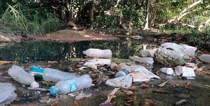 Ahora van a pescar basura