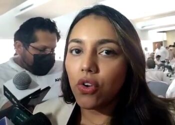 Deben a CFE 300 mil usuarios