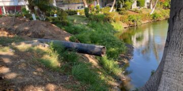 Gobierno incompetente