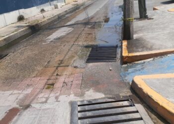 Habitan entre aguas negras