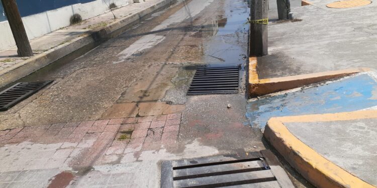 Habitan entre aguas negras