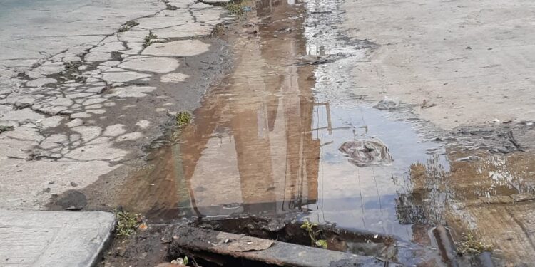 Proliferan fugas de agua y baches