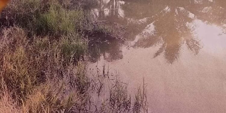 Respiran y comen con polvo metálico