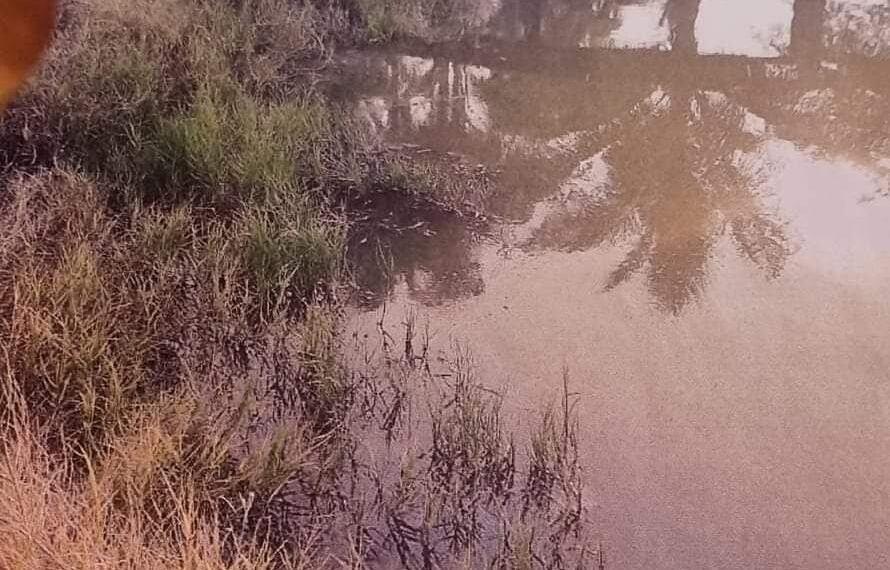 Respiran y comen con polvo metálico