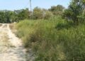 Multarán a dueños de predios abandonados