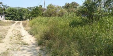 Multarán a dueños de predios abandonados